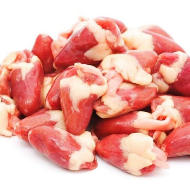 

Jantung ayam boiler 10 buah segar fresh