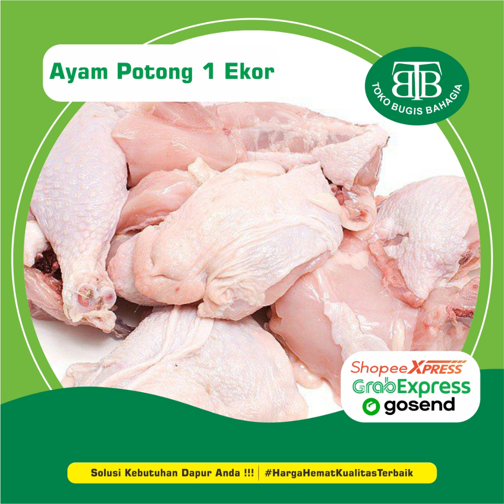 

Ayam Potong Segar (1 Ekor), Murah Makassar, Pasar Terong Makassar