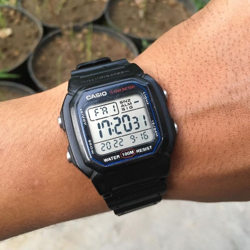Casio W-800H Original Secondhand