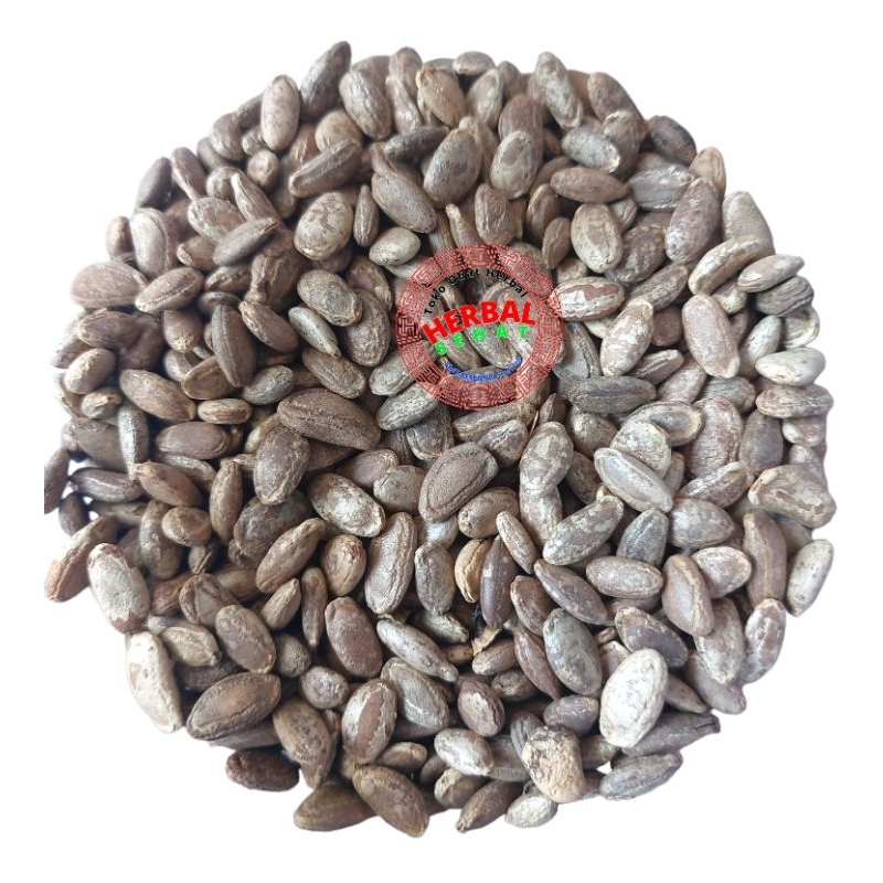 

Gua Lou Ren 瓜篓仁 Trichosanthes Snakegourd Snake Gourd Seed Seeds