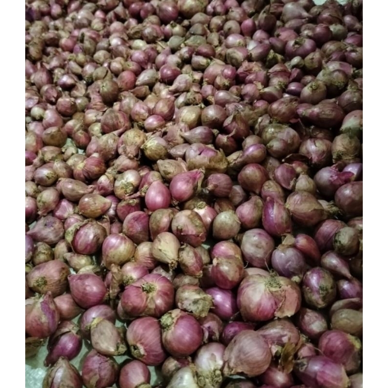 

bawang merah 500gr