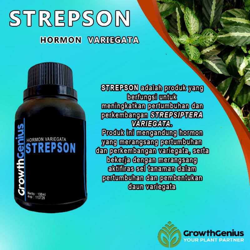 Strepson Hormon Varigata Permanen 100ml