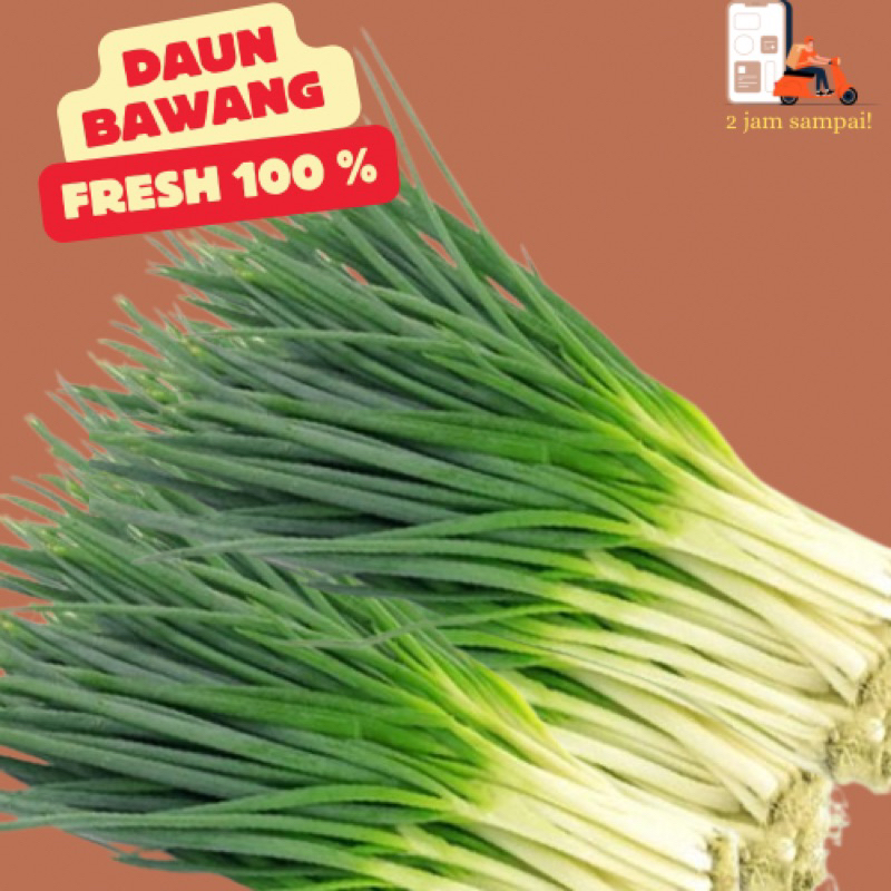 

Bawang Daun Hijau Fresh Vegetable 100gram KIRIM INSTAN BANDUNG