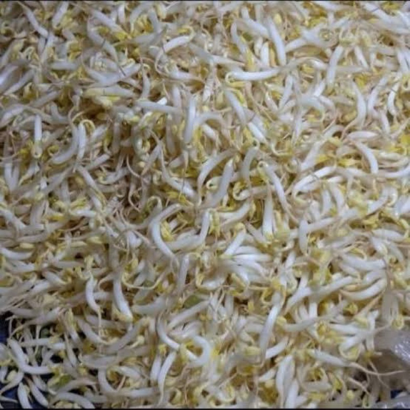 

Toge 250gr