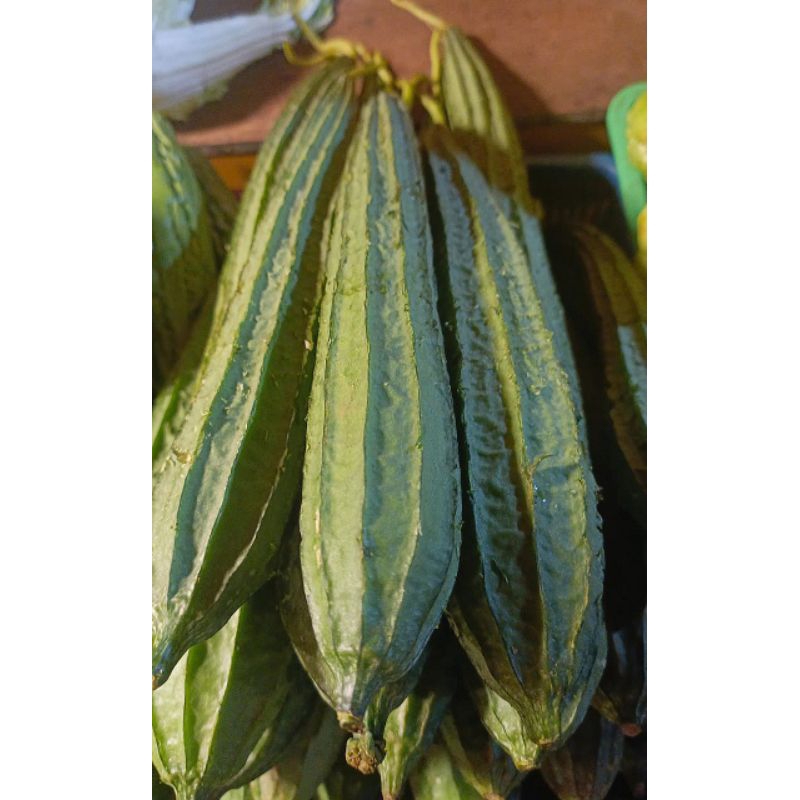 

Oyong fresh tersedia di pasar Senen 500gram