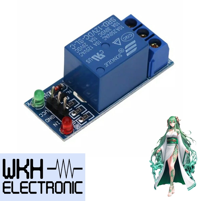 Relay 12v 1 Channel Module Arduino Raspberry Pi 1Ch
