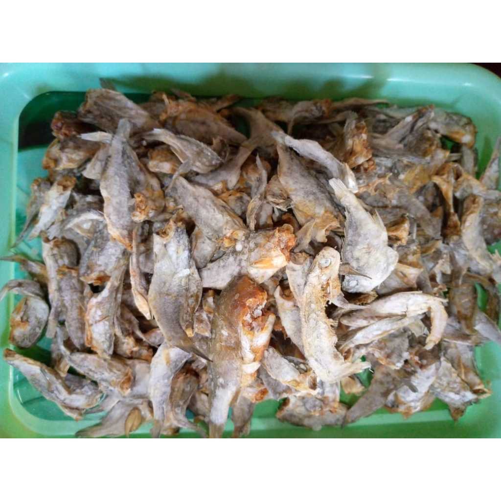 

ikan asin tombolan 500 gram