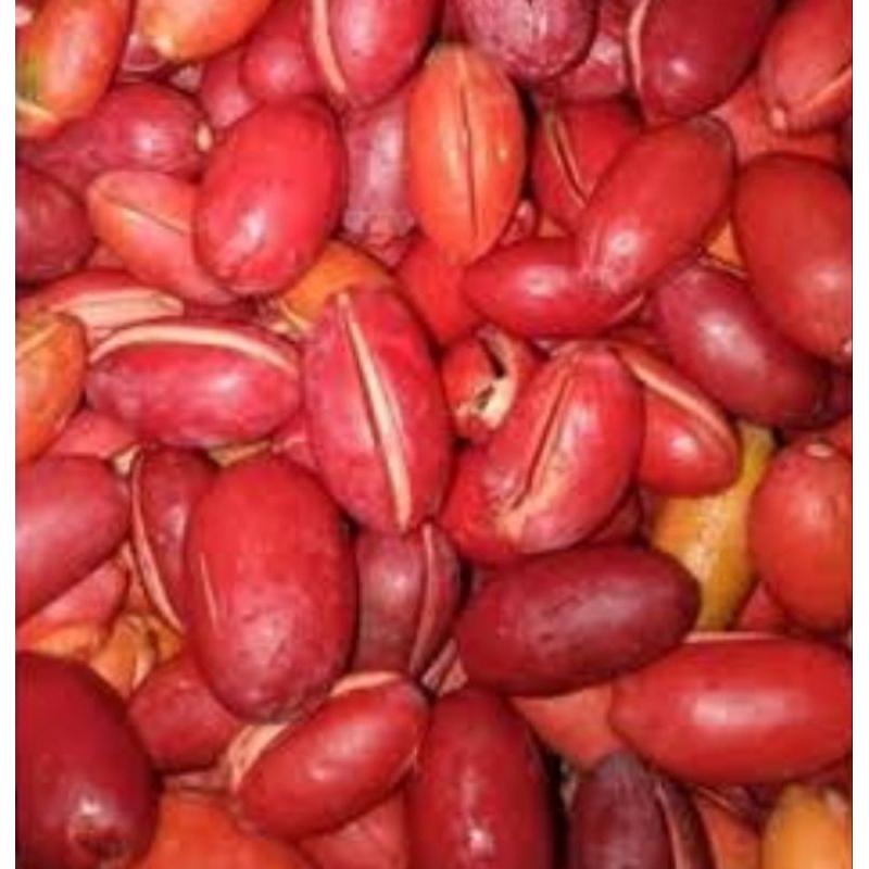 

KULIT MELINJO FRESH ISI 1KG