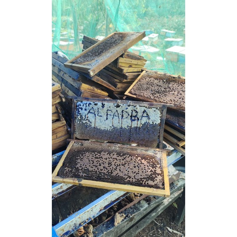 

madu murni dan asli kemasan 1liter