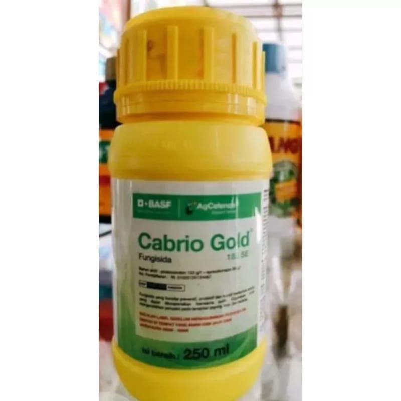 CABRIO GOLD 183 SE 250 ML