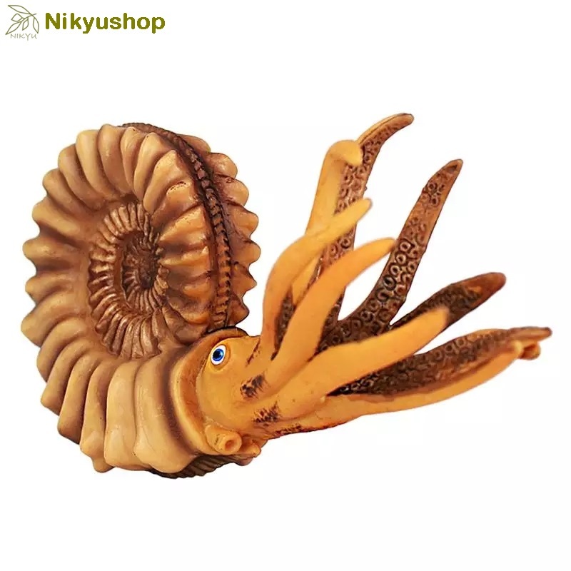 [Nikyushop] Mainan Edukasi Pajangan Dinosaurus Hewan Fosil Purba Nautilus Ammonite Animal Figure