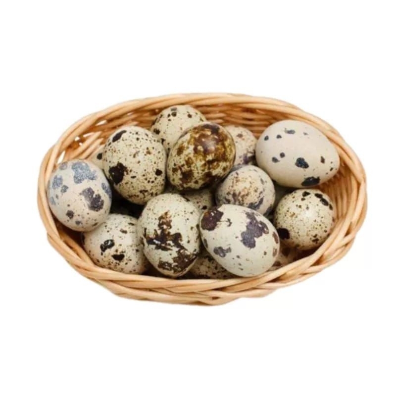 

KIRIM INSTAN Telur Puyuh 10 Buah (Matang/Mentah)