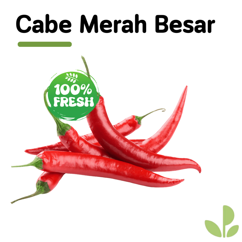 

CABE MERAH BESAR | 250GR |