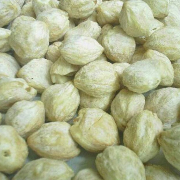 

vwml 24 Kemiri bulat 1 kilogram QMY
