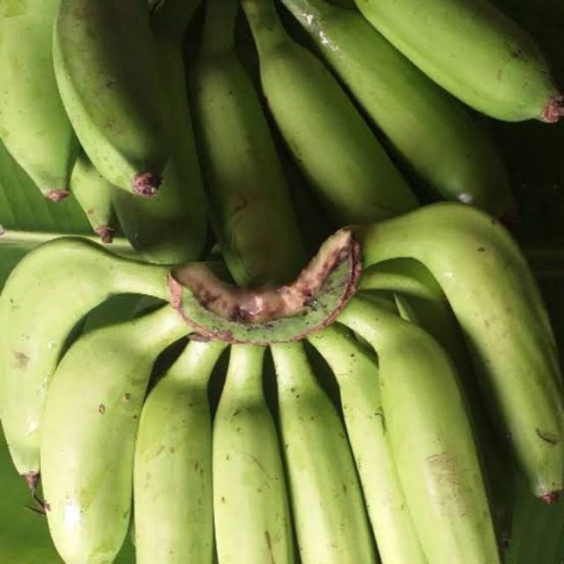 

Pisang Jantan 1 Sisir