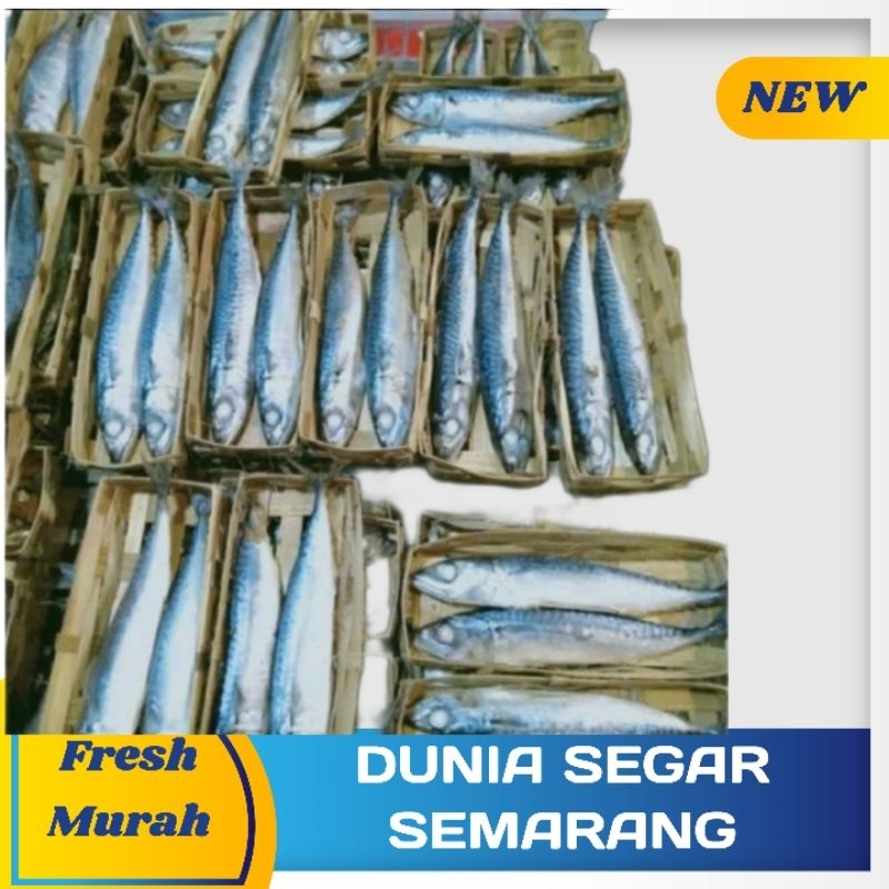

ikan Pindang Sedang isi 2