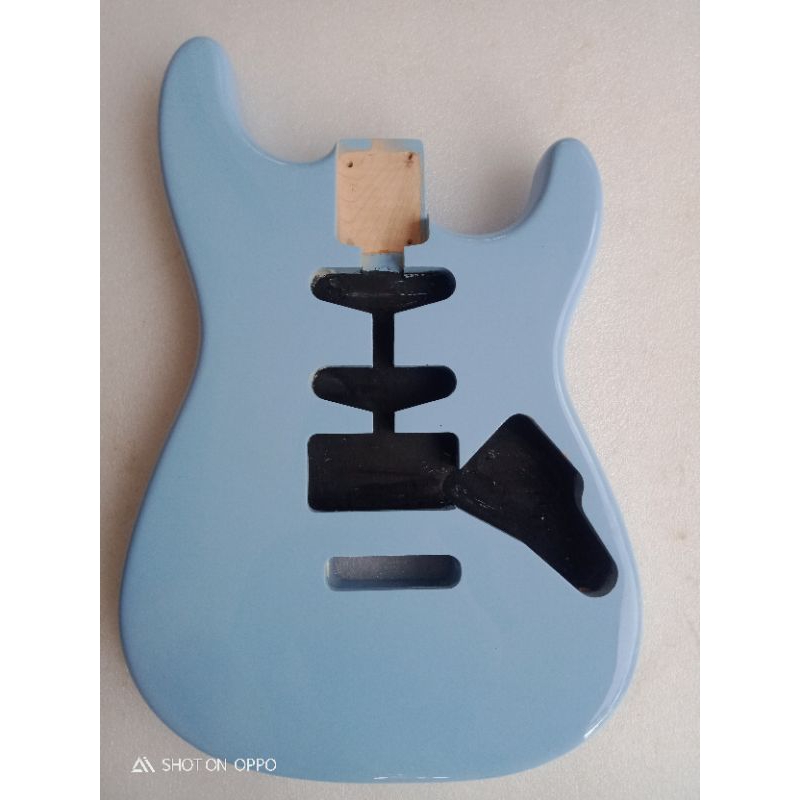 body gitar shecter nick johston model