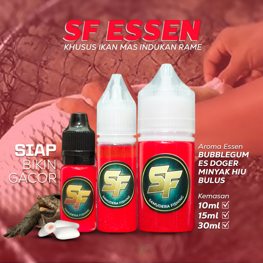 SF Essen Ikan Mas Indukan Rame Wangi Doger Permen Karet Untuk Segala Spot Mancing