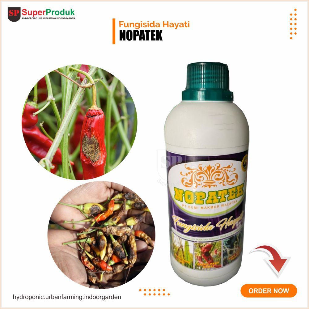 Fungisida hayati Nopatek Fungisida organik 500ml