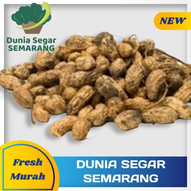 

Kacang Tanah Kulit Fresh 1kg