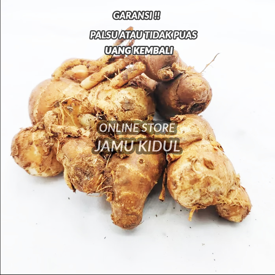 

Kencur Segar 50gr Grade A Organik