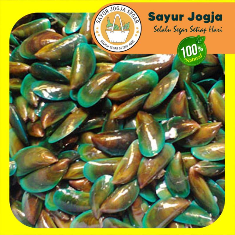 

KERANG HIJAU / 500gr - Sayur Jogja