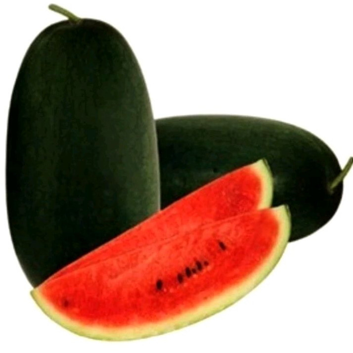 10 Benih/bibit/Biji Semangka inul/semangka merah inul