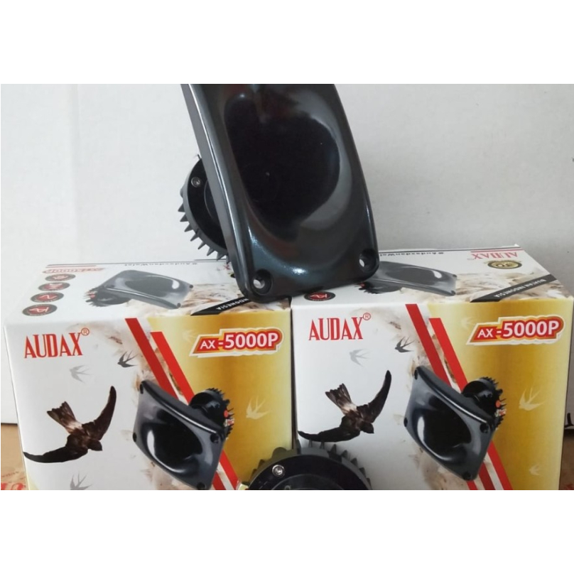 TWETER AUDAX AX 5000 P / AX5000 P / AX5000P / AX 5000P- POLYETHERIMIDE NEODYMIUM MAGNET ORIGINAL