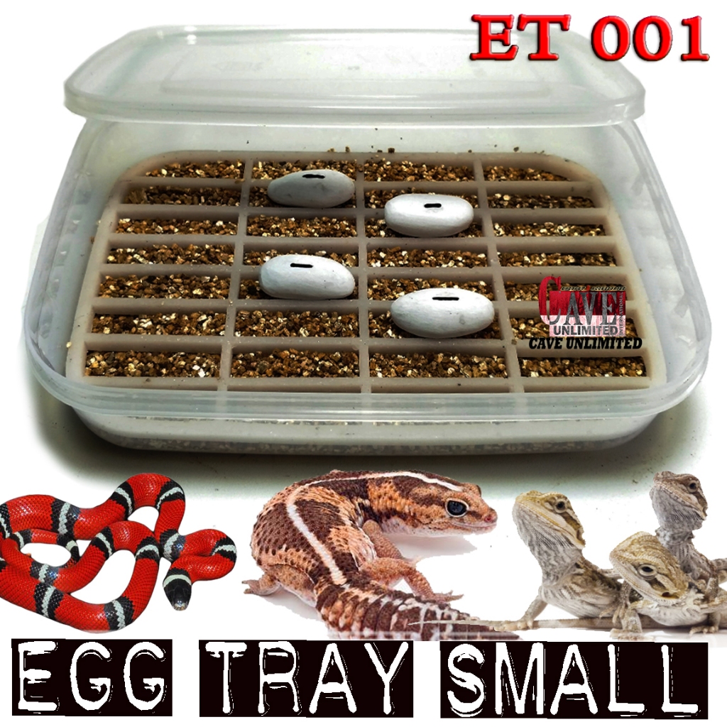 EGG INCUBATOR TEMPAT PENYIMPANAN TELUR REPTILE WADAH PENETASAN TELOR GECKO KADAL ULAR CORNSNAKE BEAR