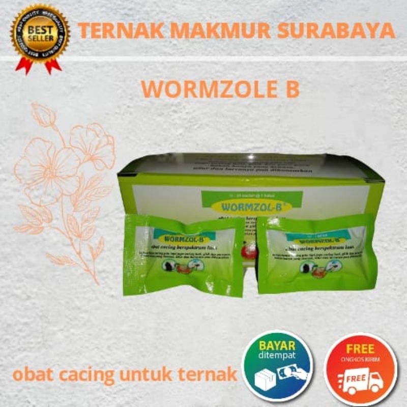 Wormzole B (harga satuan)