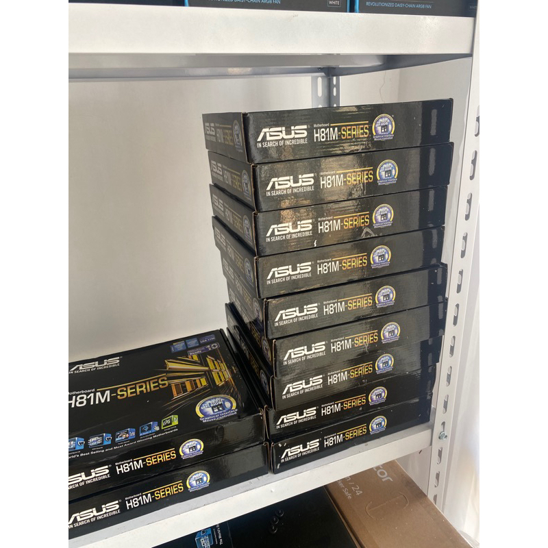 asus h81 new