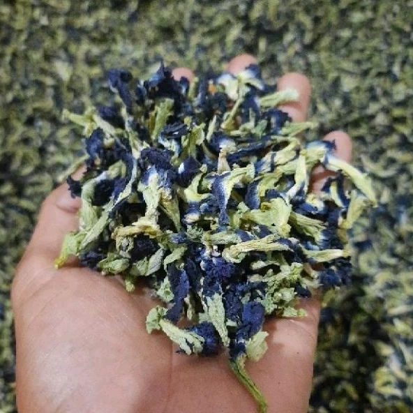 

Bunga Telang Kering 20 Kg Butterfly pea