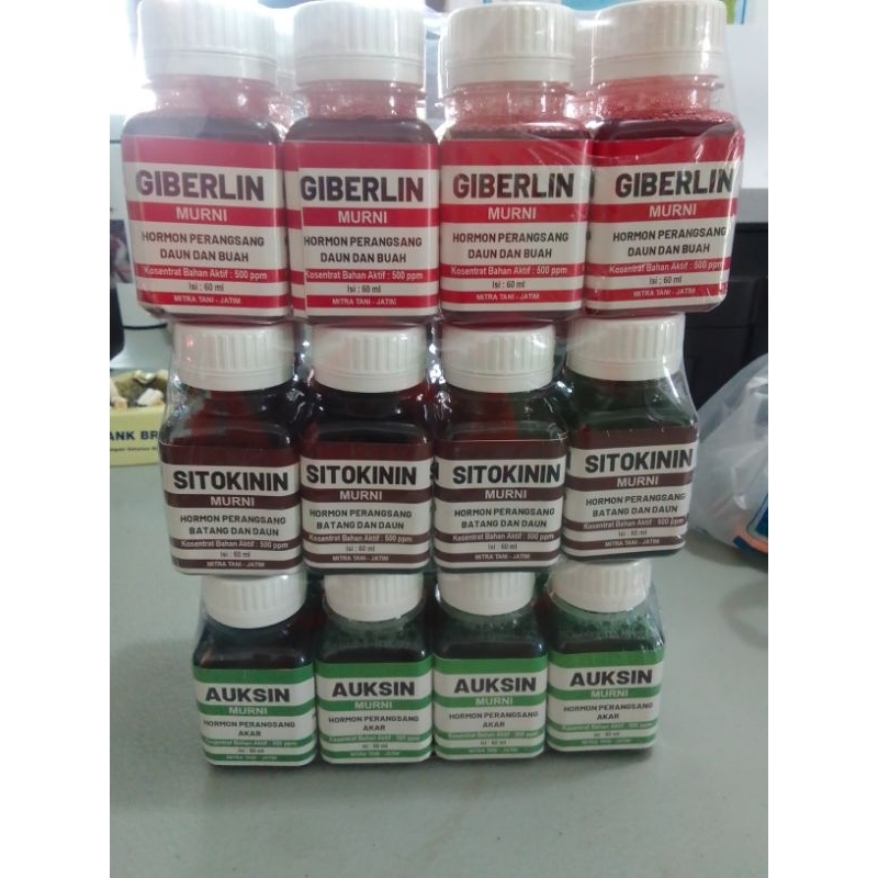 ZPT Auksin, Sitokinin, Giberlin Murni