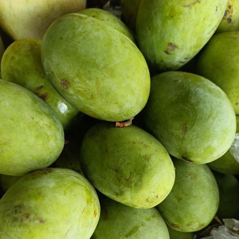 

MANGGA KWENI 1 KG