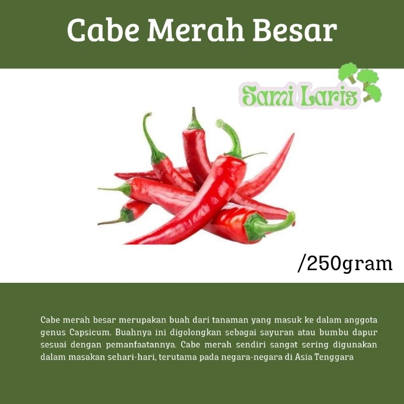 

Cabe Besar Merah/Cabe merah besar