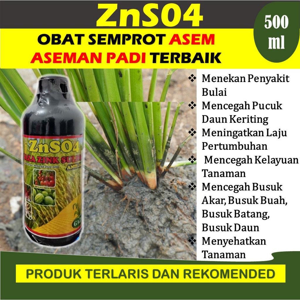 TERLARIS Zns04 gaza zink sulfut 500 ml obat asem aseman pad padi – obat blast merah pada tanaman pad