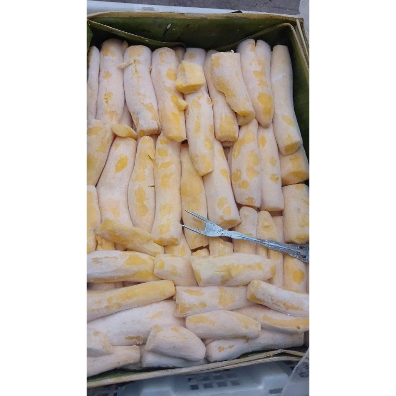 

Tape singkong porsi 5kg