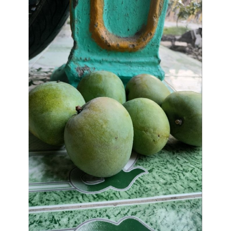 

mangga