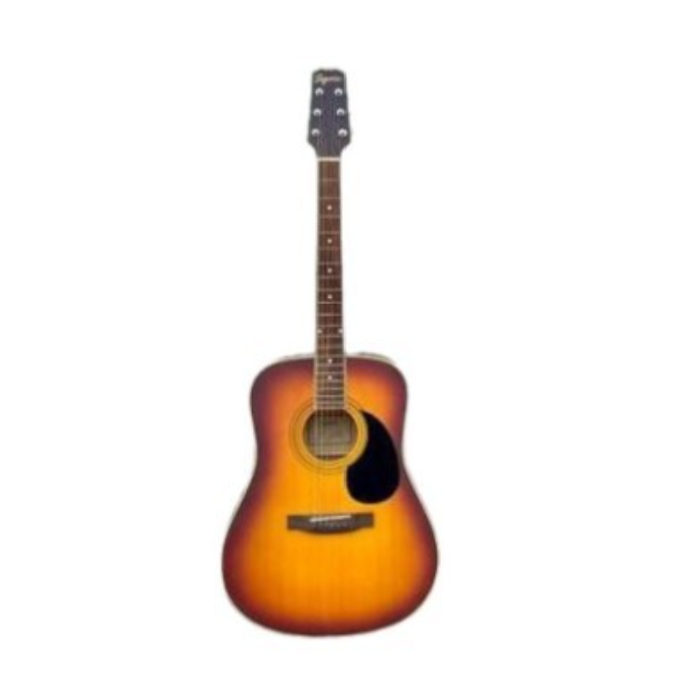 Gitar Akustik Elektrik Segovia DW05 STS Original