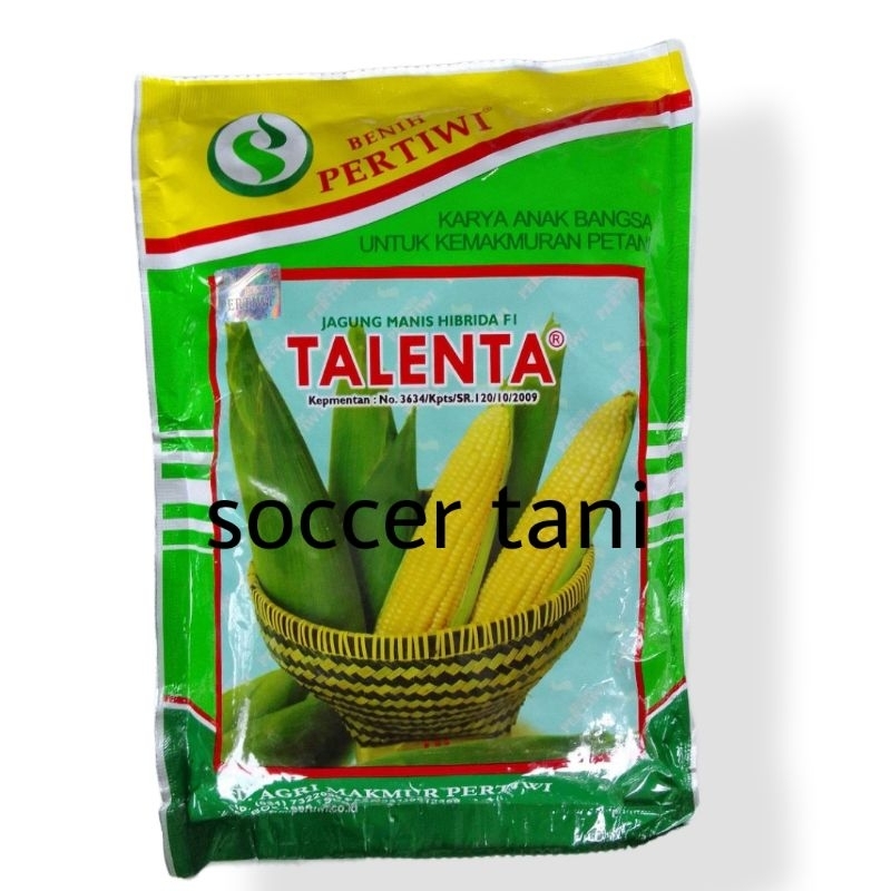 BENIH JAGUNG MANIS TALENTA .
