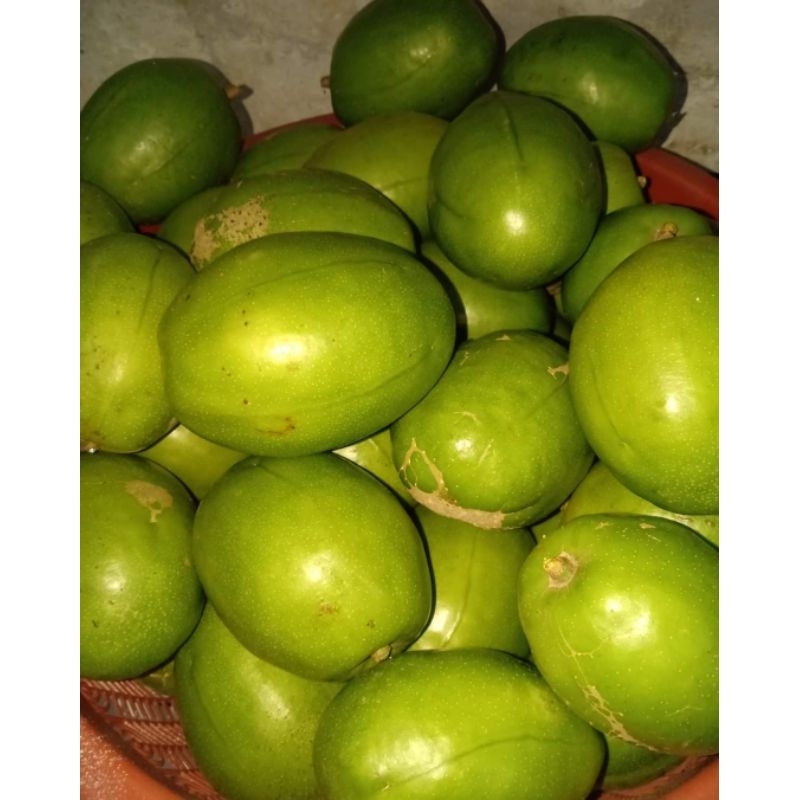 

BUAH DONDONG PER 1.1 KG SEGAR FRESH LANGSUNG PETIK, COCOK UNTUK RUJAK DLL.