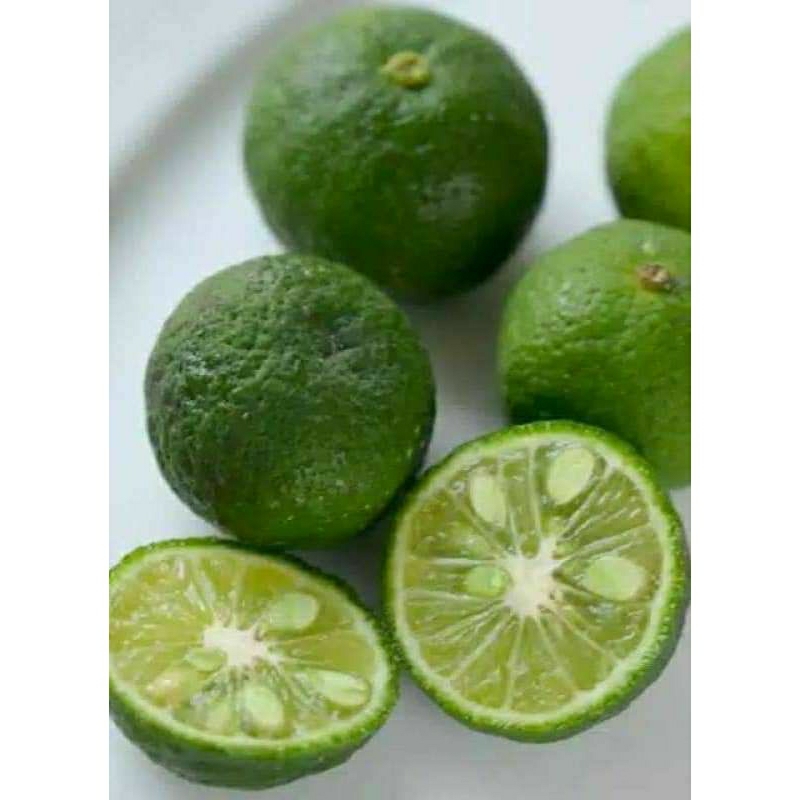 

jeruk limau/limo/jeruk sambal