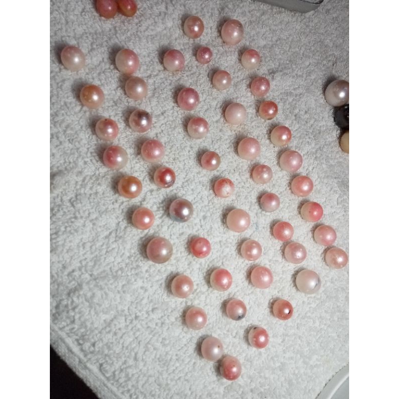 butiran mutiara air laut pink natural
