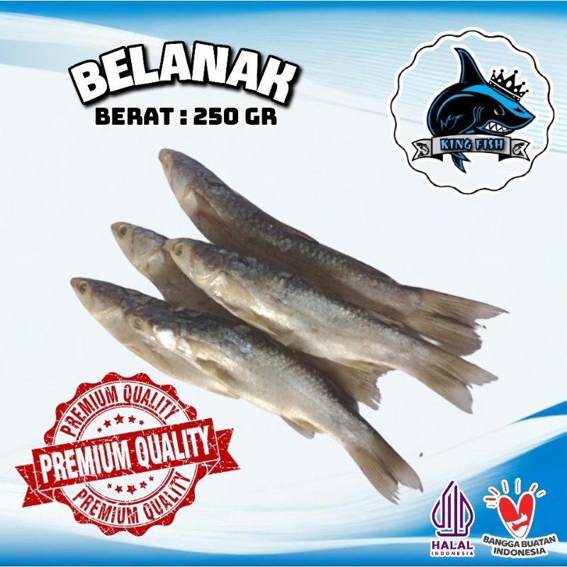 

250GR IKAN ASIN BELANAK MURAH BERKUALITAS