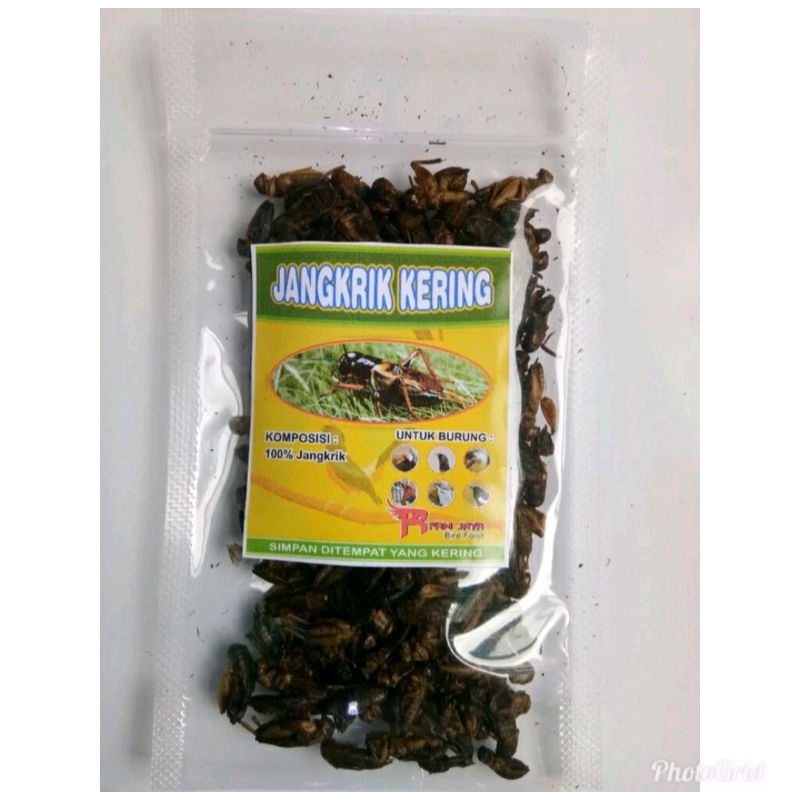 jangkrik kering 100 gram