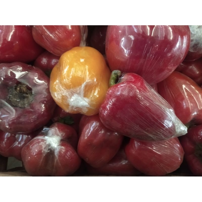 

PAPRIKA MERAH