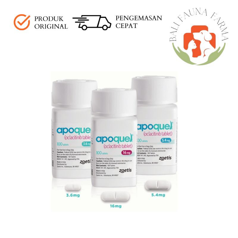 APOQUEL Obat Anti Gatal Alergi Dermatitis Pada Anjing