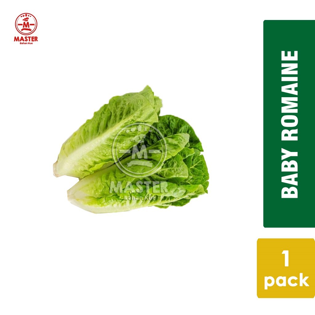 

Selada Baby Romaine / Sayur Baby Romaine 1 Pack [KHUSUS INSTANT]
