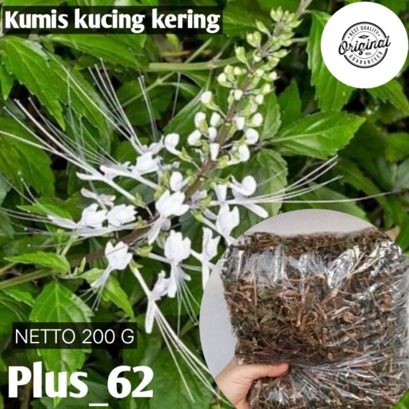 

Teh daun kumis kucing kering kemasan/250 gr