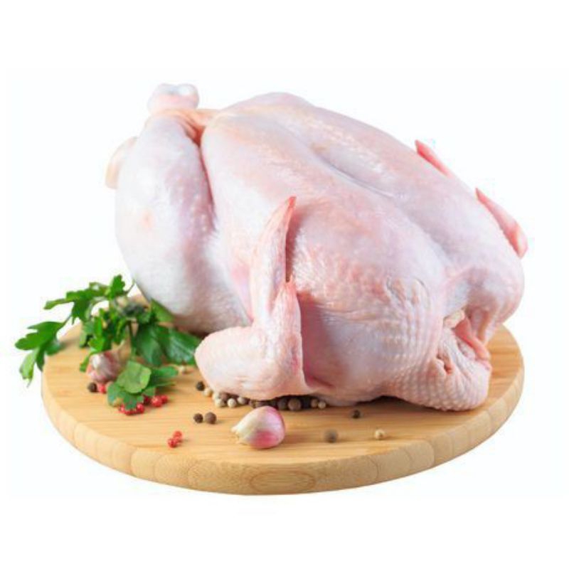 

Ayam EKONOMIS Ukuran 900graman 1 Ekor | Ayam Potong Murah